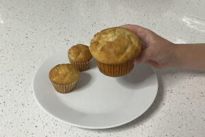 Muffin Recipe